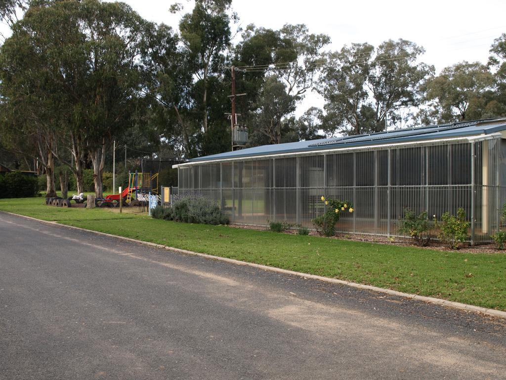 Cowra Holiday Park Exteriör bild